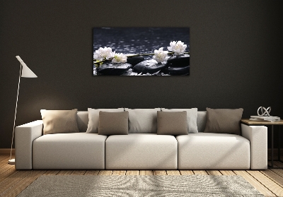 Glasbild Kirschblüte