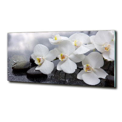 Foto glasbild Orchidee