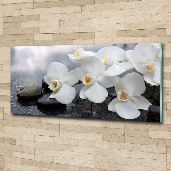 Foto glasbild Orchidee