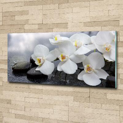 Foto glasbild Orchidee