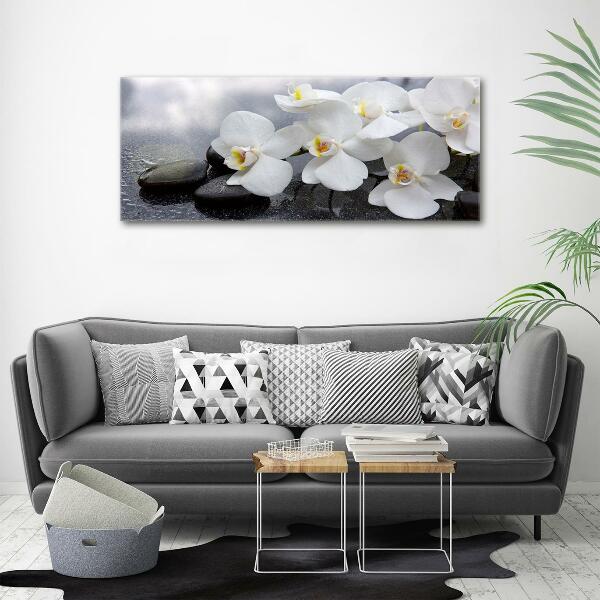 Foto glasbild Orchidee
