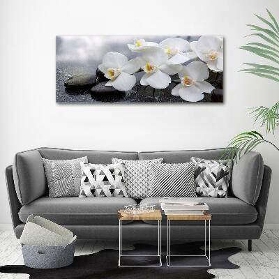 Foto glasbild Orchidee