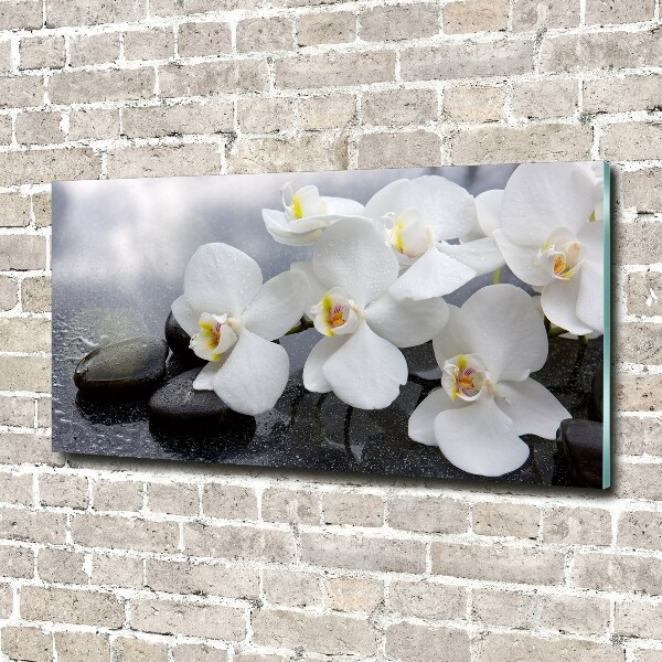 Foto glasbild Orchidee