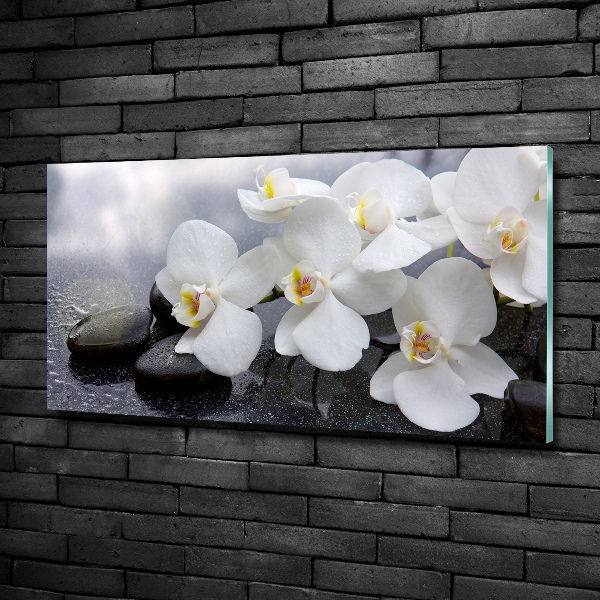 Foto glasbild Orchidee
