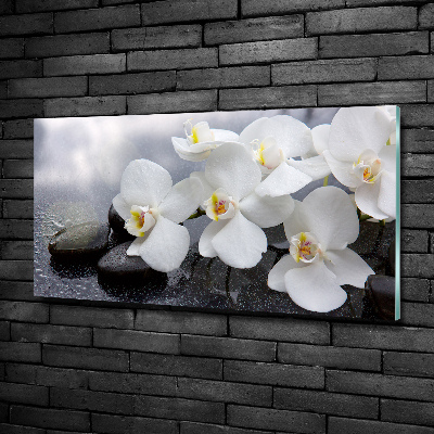 Foto glasbild Orchidee
