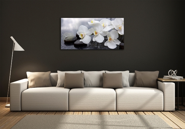 Foto glasbild Orchidee