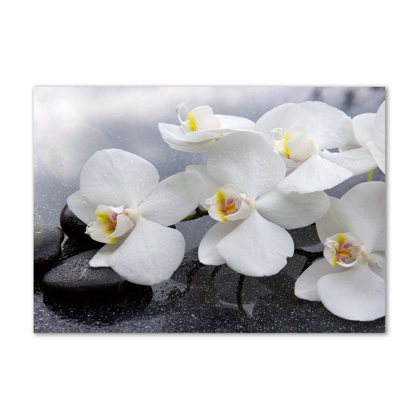 Foto glasbild Orchidee
