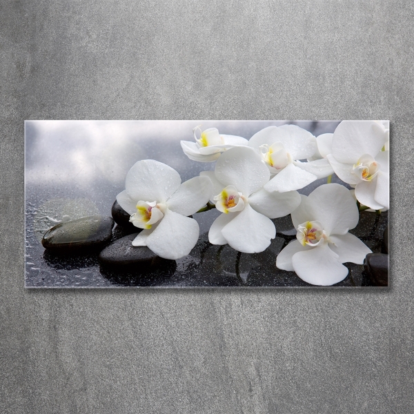 Foto glasbild Orchidee