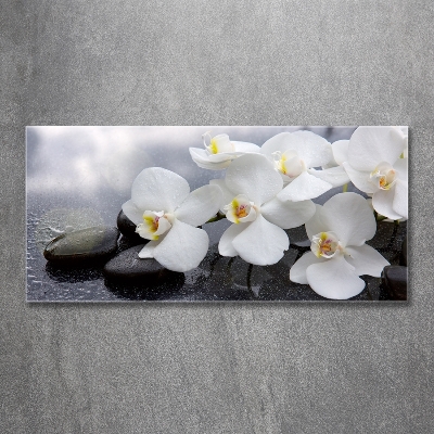 Foto glasbild Orchidee