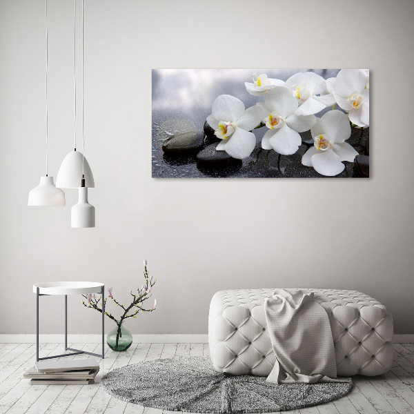 Foto glasbild Orchidee