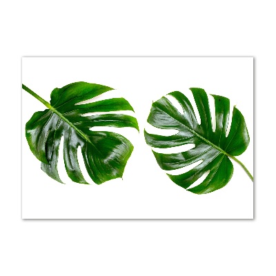 Bild auf glas Tropische Blätter