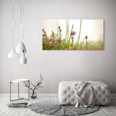 Bild auf glas Schnittlauch