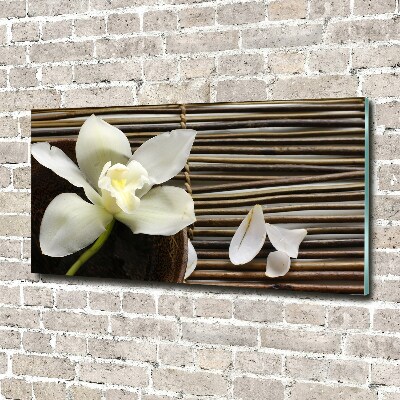 Glasbild Orchidee