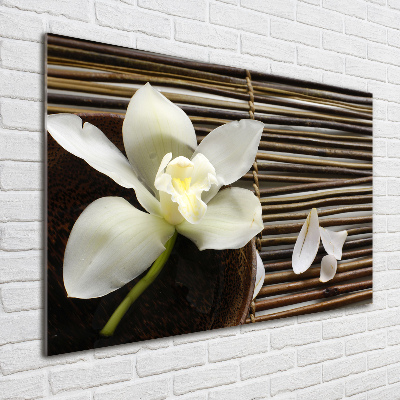 Glasbild Orchidee