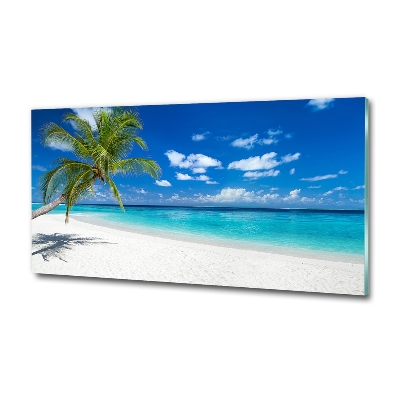 Glasbild Tropischer Strand