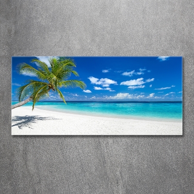 Glasbild Tropischer Strand