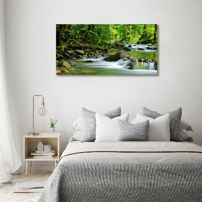 Bild auf glas Gebirgsbach