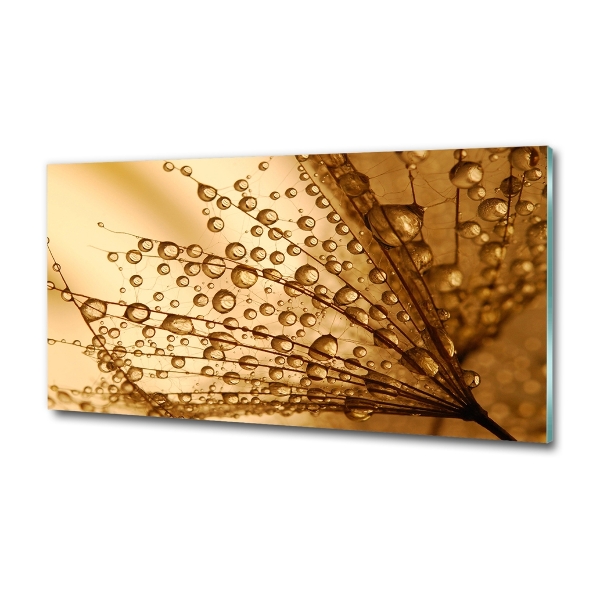 Bild auf glas Löwenzahnsamen