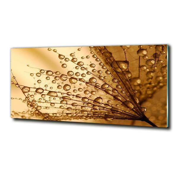 Bild auf glas Löwenzahnsamen