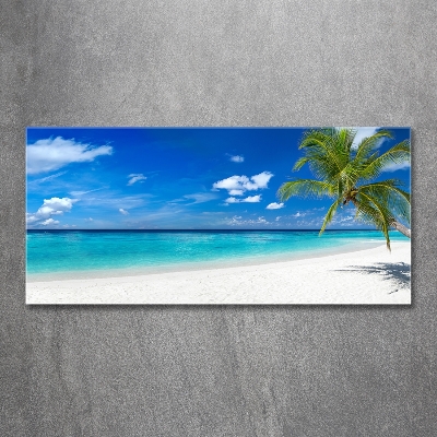 Foto glasbild Tropischer Strand