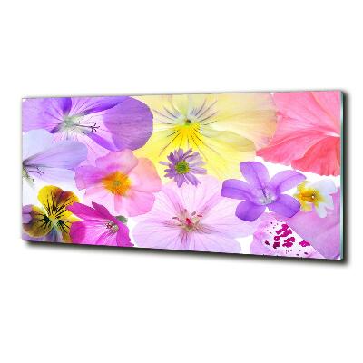 Foto glasbild Stiefmütterchen