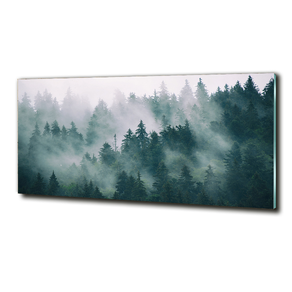 Glasbild Nebel über dem Wald