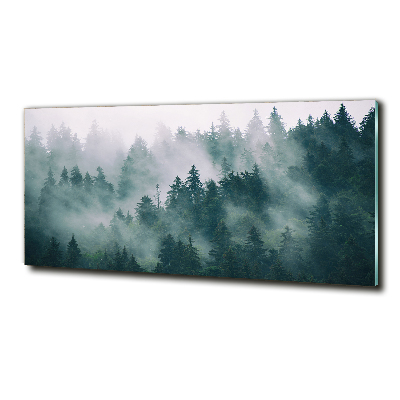 Glasbild Nebel über dem Wald