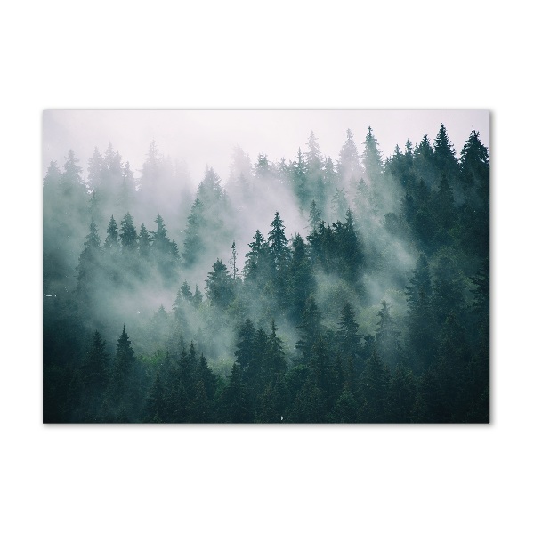 Glasbild Nebel über dem Wald