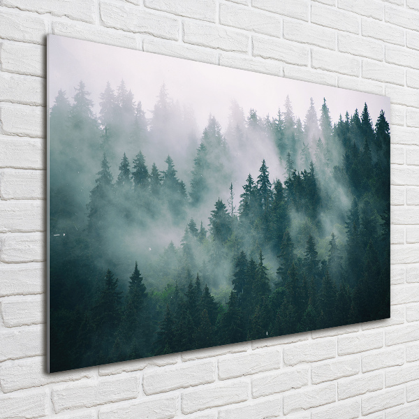 Glasbild Nebel über dem Wald