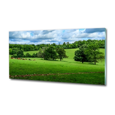 Bild auf glas Grüne Hügel