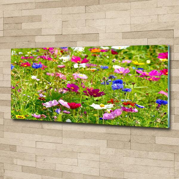 Bild auf glas Wildblumen