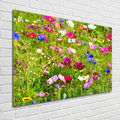 Bild auf glas Wildblumen