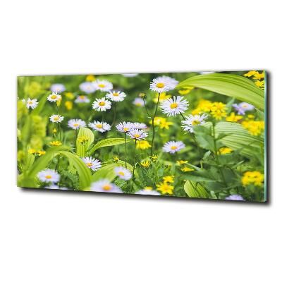 Glasbild Gänseblümchen