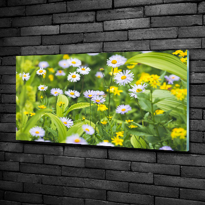 Glasbild Gänseblümchen