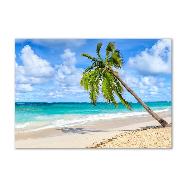 Glasbild Tropischer Strand