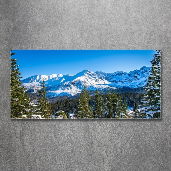 Foto glasbild Panorama der Tatra-Berge