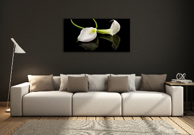 Bild auf glas Calla