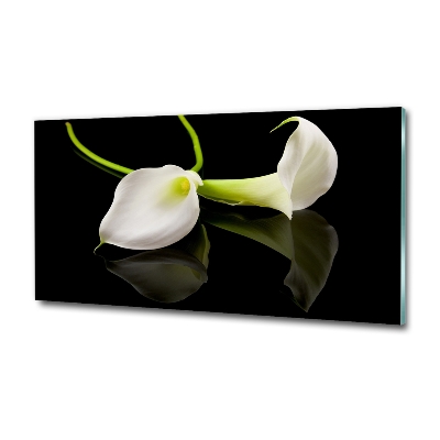 Bild auf glas Calla