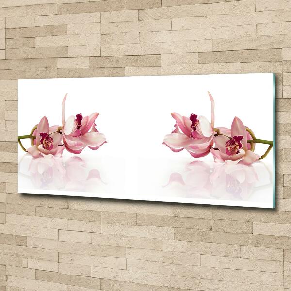 Glasbild Orchidee