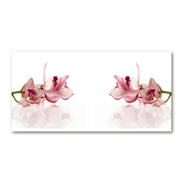 Glasbild Orchidee