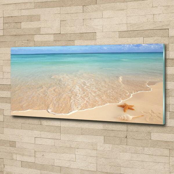 Foto glasbild Seesterne am Strand