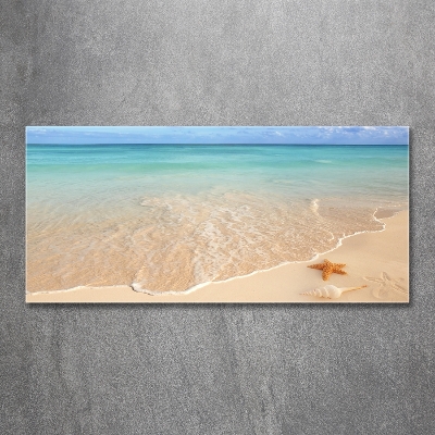 Foto glasbild Seesterne am Strand