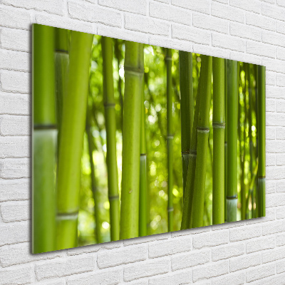 Foto glasbild Bambus
