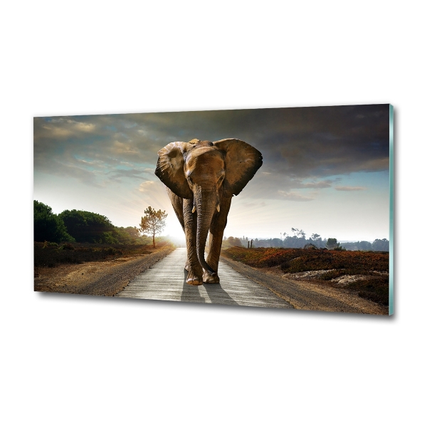Glasbild Laufender Elefant