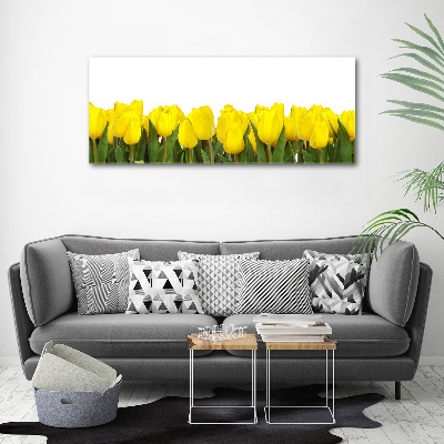 Bild auf glas Gelbe Tulpen