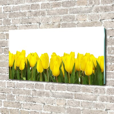 Bild auf glas Gelbe Tulpen