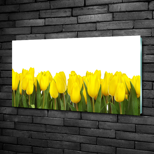 Bild auf glas Gelbe Tulpen