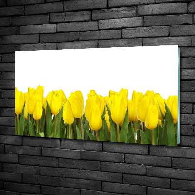 Bild auf glas Gelbe Tulpen