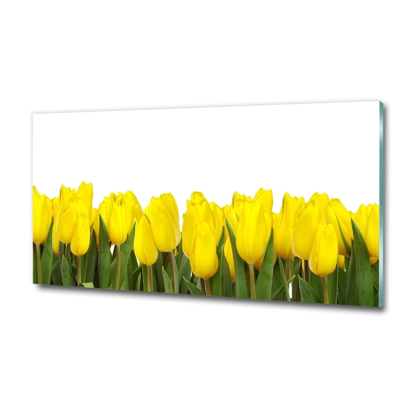 Bild auf glas Gelbe Tulpen