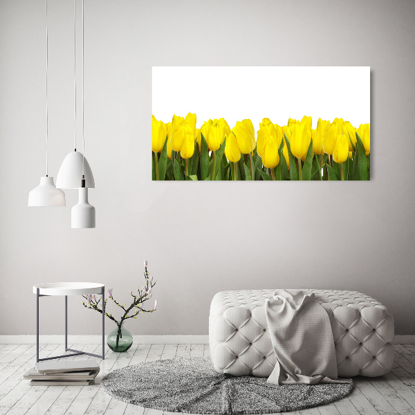 Bild auf glas Gelbe Tulpen